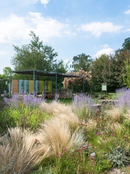 Gärtnern im Klimawandel