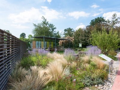 Gärtnern im Klimawandel, 23. & 24. April 2022