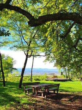 Schattige Rastplätze