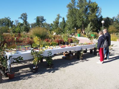 Erfolgreiche Wagram-Wochen auf der GARTEN TULLN