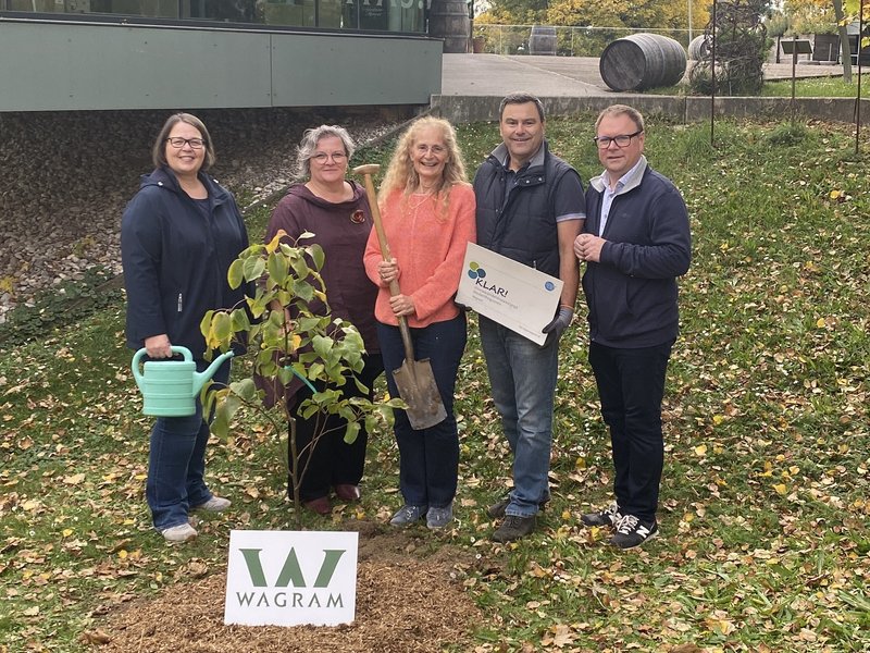 Baumpflanz-Challenge accomplished!