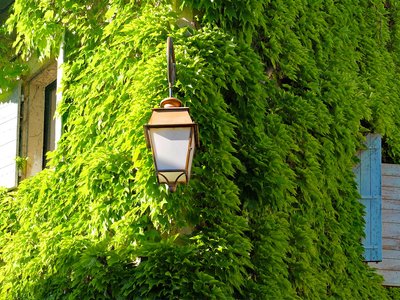 Webinar zur naturnahen Gestaltung von Gewerbearealen