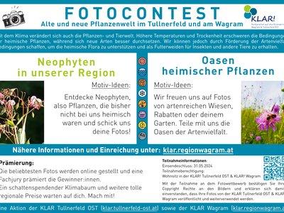 Mach mit beim Fotowettbewerb!