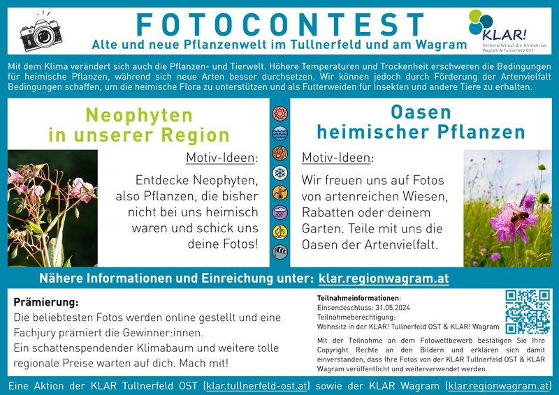 Mach mit beim Fotowettbewerb!