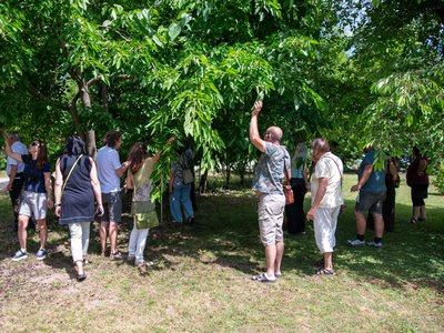 Klimawandel kennt keine Grenzen - Tschechien zu Gast in der Region Wagram