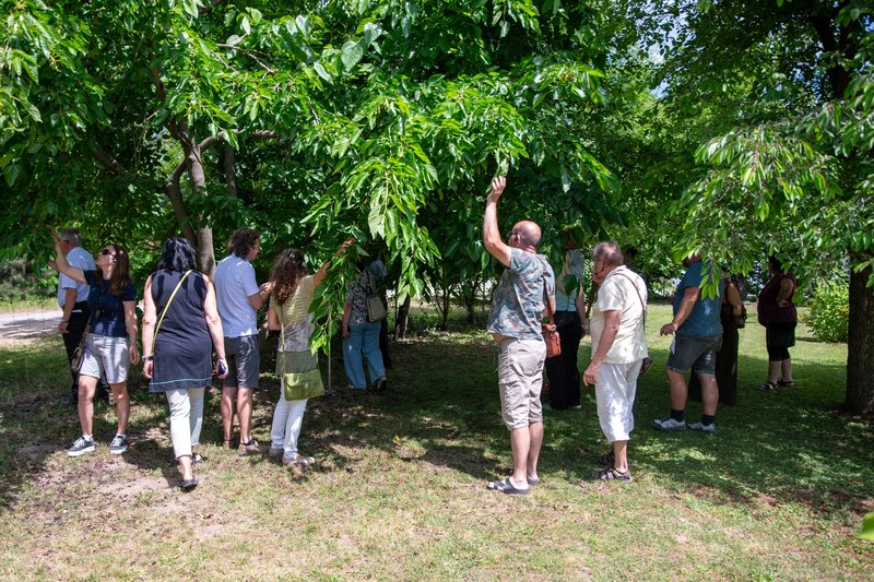 Klimawandel kennt keine Grenzen - Tschechien zu Gast in der Region Wagram