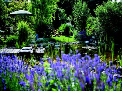 Gärten klimafit machen - Infoabend Do 6.3. im Weritas!