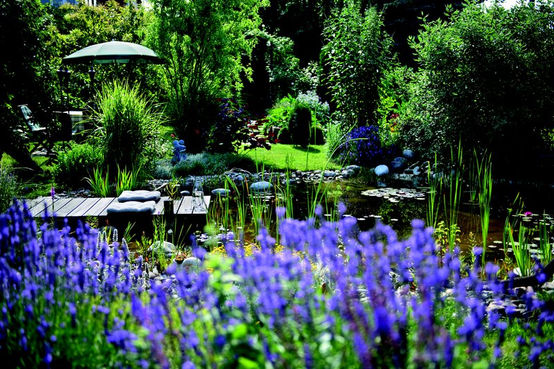 Gärten klimafit machen - Infoabend Do 6.3. im Weritas!