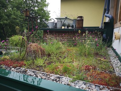 Natur trifft Architektur - nachhaltige Konzepte für klimafittes Bauen!