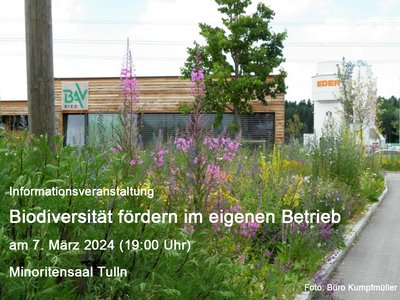Biodiversität fördern im eigenen Betrieb - Infoabend 7. März | 19 Uhr | Minoritensaal Tulln