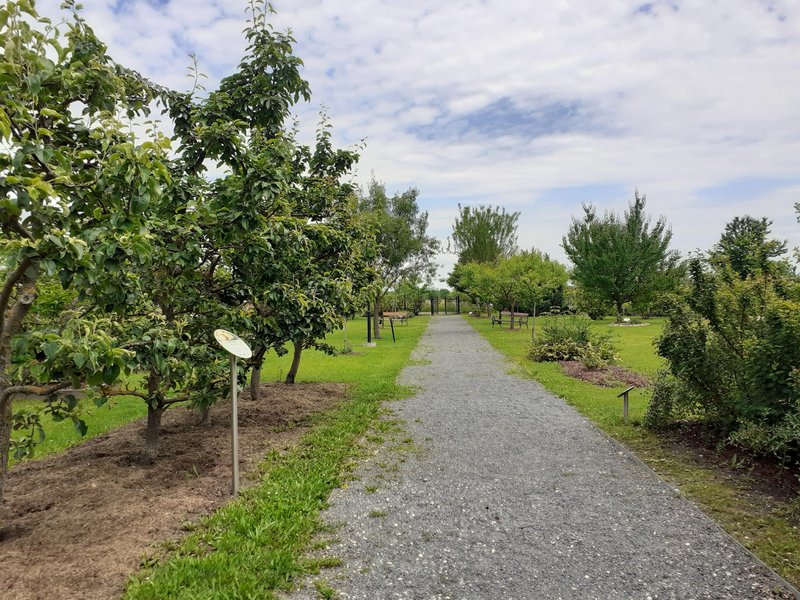 Gartenfrühstück und Workshop zum klimafitten Garten im Alchemistenpark