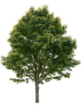 KLAR! Invest - Schatten für unsere Kinder - Wagram