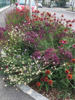 Unsere Garten-Region