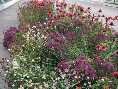 Klimawandelanpassung im öffentlichen Grünraum