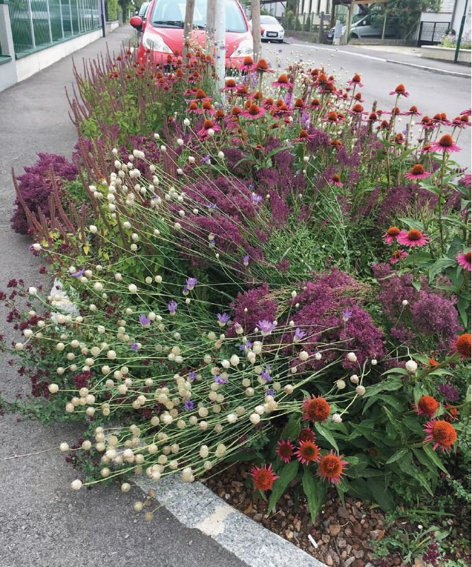 Klimawandelanpassung im öffentlichen Grünraum