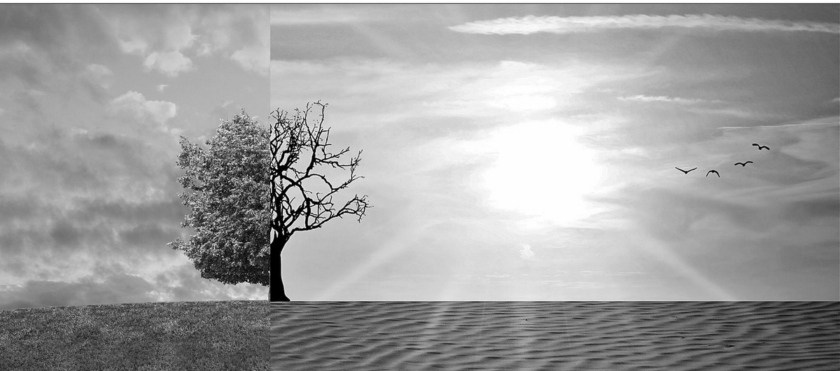 Klimaszenarien für die Region