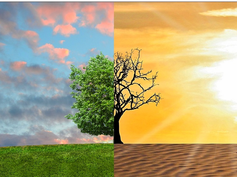 Klimaszenarien für die Region