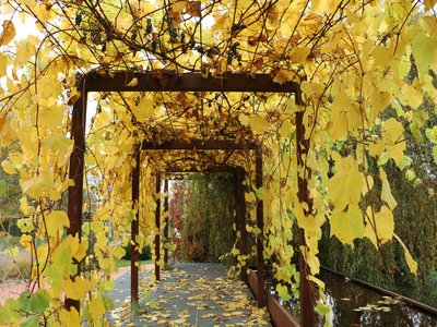 Der Wagram zu Gast auf der GARTEN TULLN mit KLAR! Gesundheitsschwerpunkt