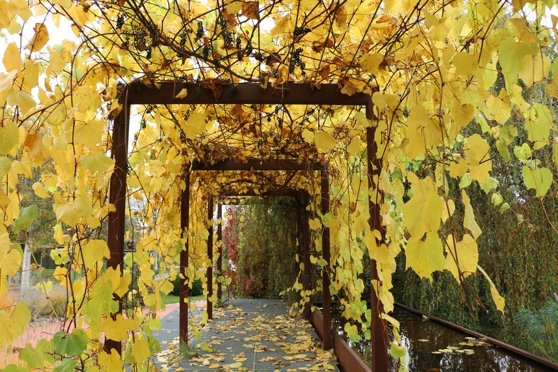 Der Wagram zu Gast auf der GARTEN TULLN mit KLAR! Gesundheitsschwerpunkt