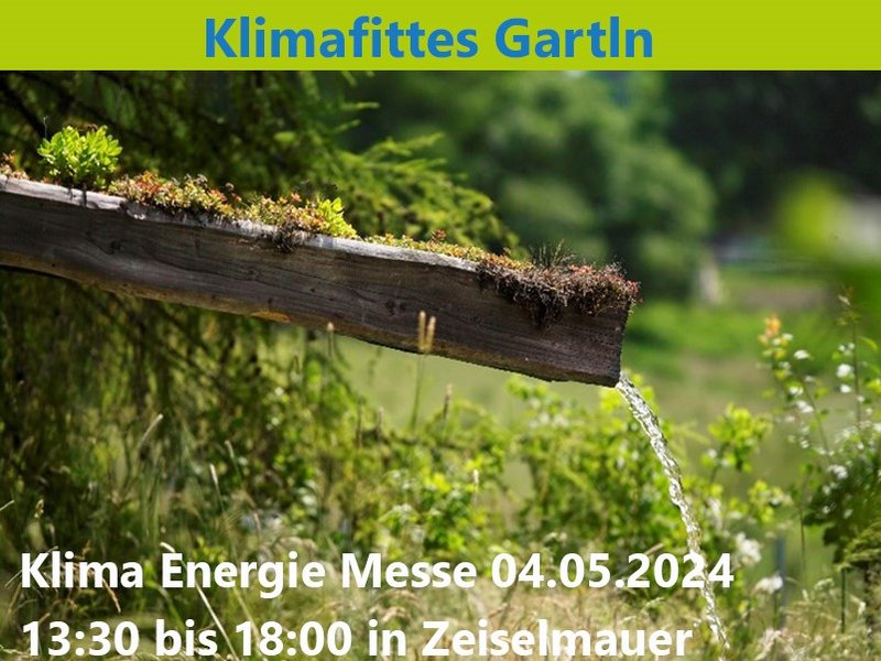 Regenwassermanagement leicht gemacht - Expertenvortrag