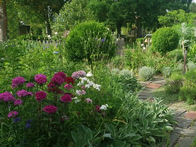 Pflanzen – natürlich schöne Klimaanlagen für Haus und Garten!