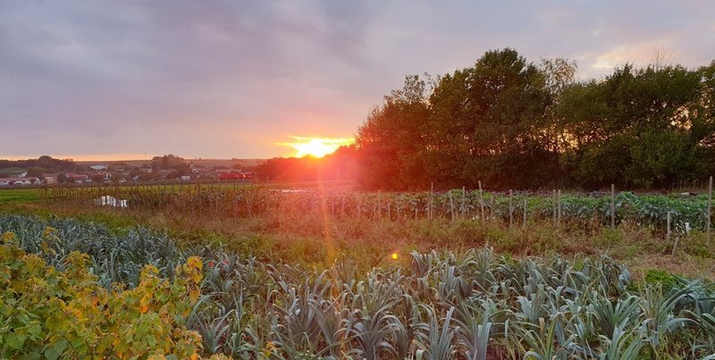 Gesunde Böden - Gesunde Zukunft