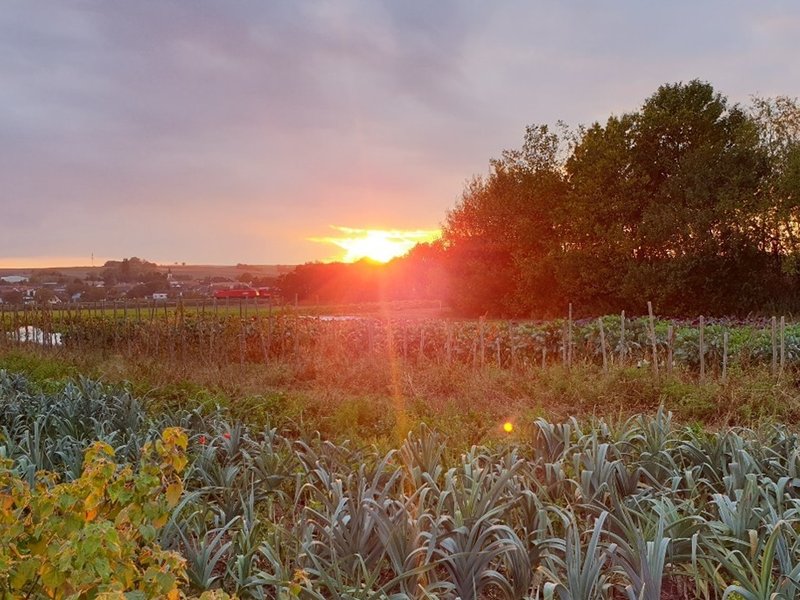Einladung zur Veranstaltung am 24.02.2026 Gesunde Böden - Gesunde Zukunft | Resi­li­en­te Land­wirt­schaft mit­hil­fe der Na­tur
