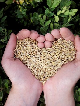 Alternative Landwirtschaftliche Modelle 2.0